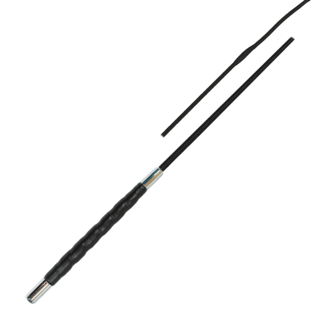 MBN0244